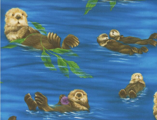 Otter Bay Blue