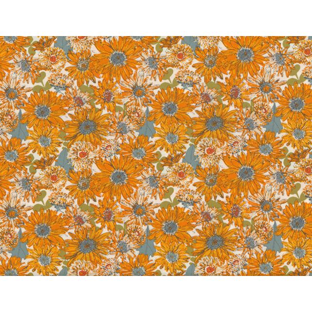 Chasing Daisies Floral