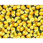 Garden Lemons Yellow